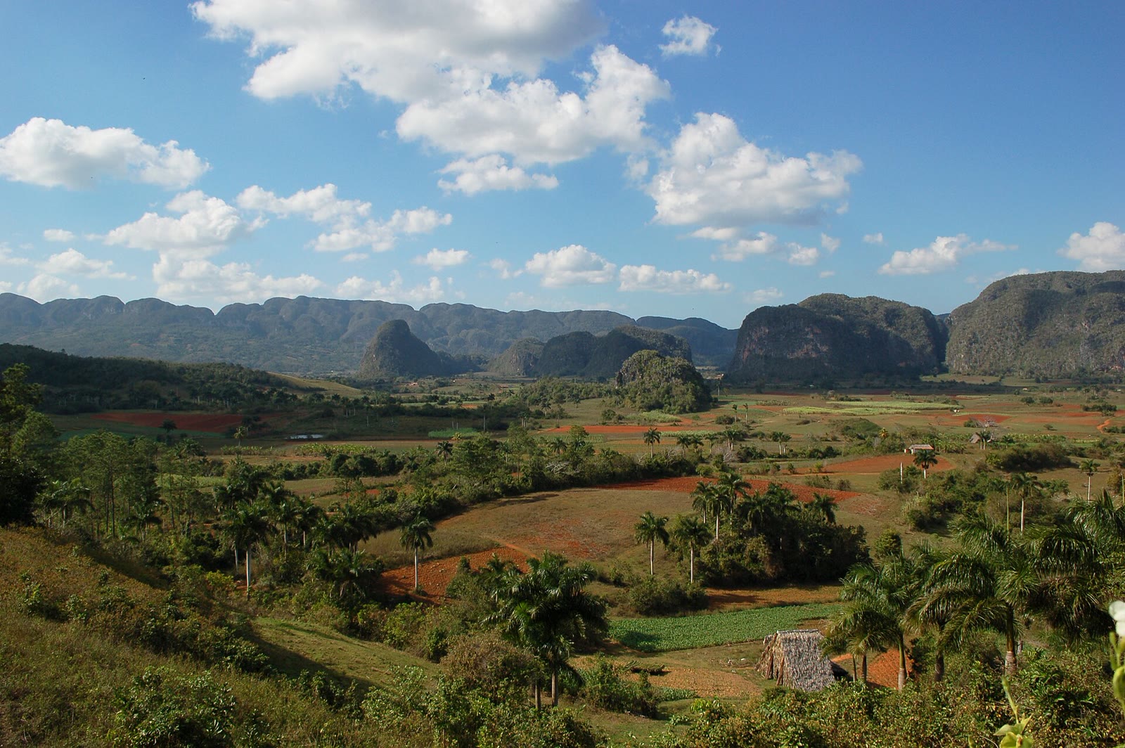 El valle de Viñales, en Pinar del Río, la provincia donde está la mina Castellanos (foto de archivo).